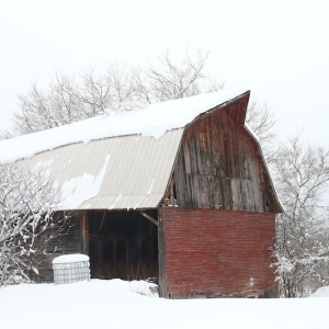 barnsnow1.25.23