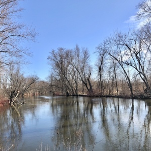 OtterCreekSalisbury4.5.23