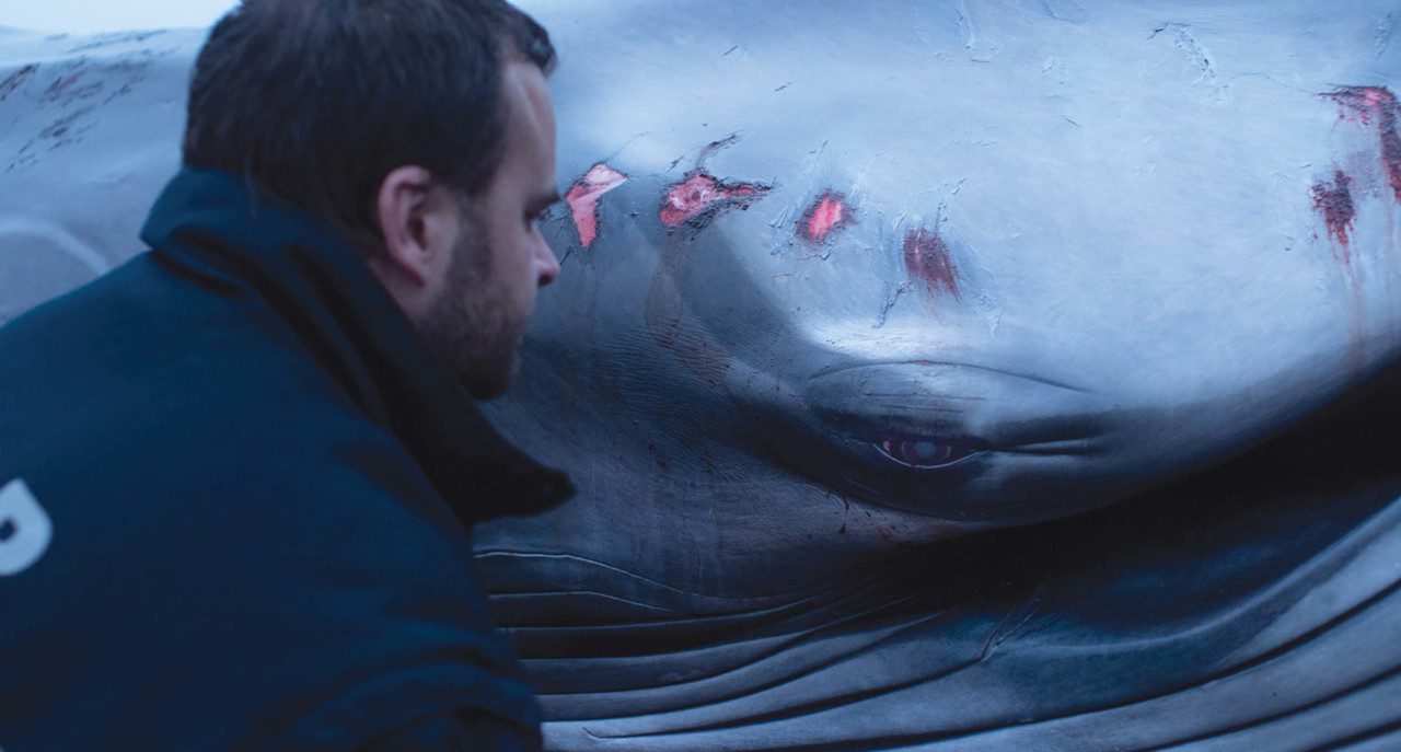 MNFF Selects brings marine wildlife rescue doc to THT