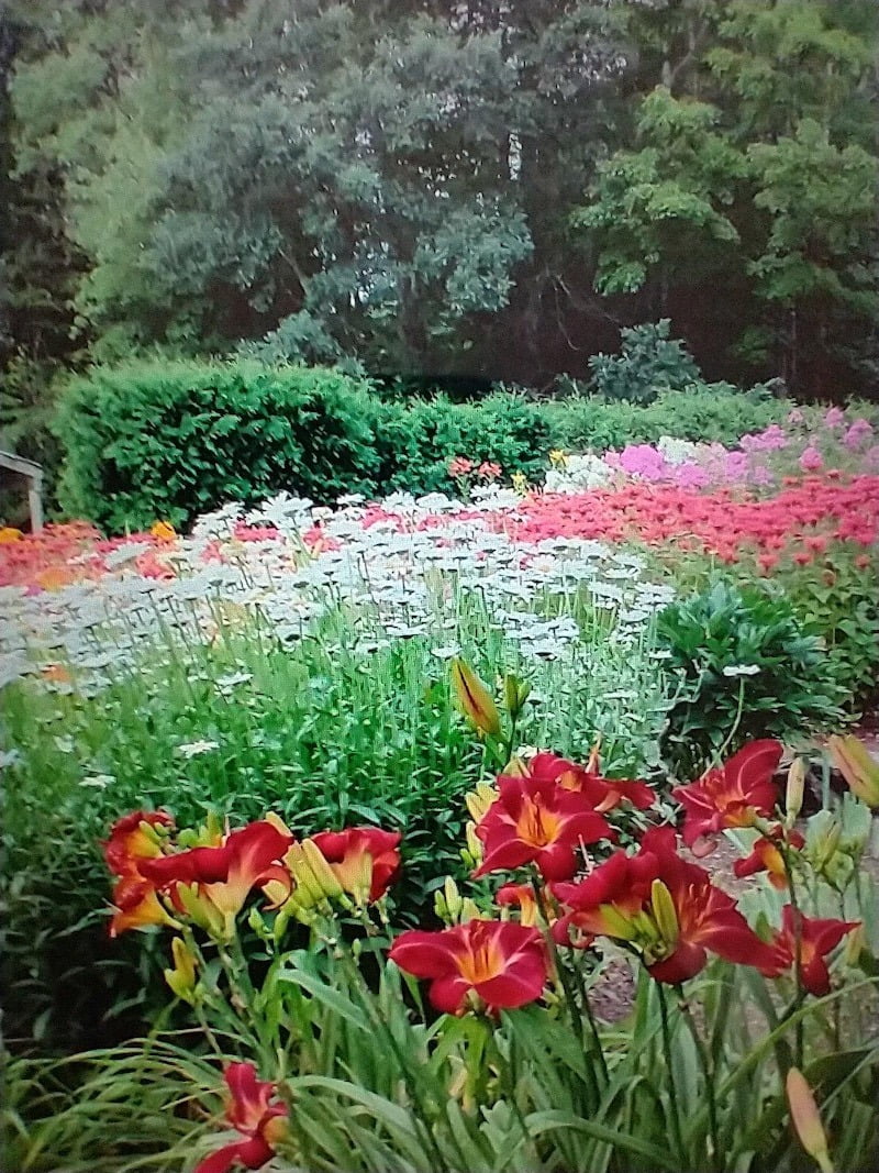 Beyond the garden gate: Grow a kaleidoscope of color