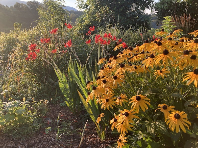 Beyond the garden gate: a visit with Brian Jerome