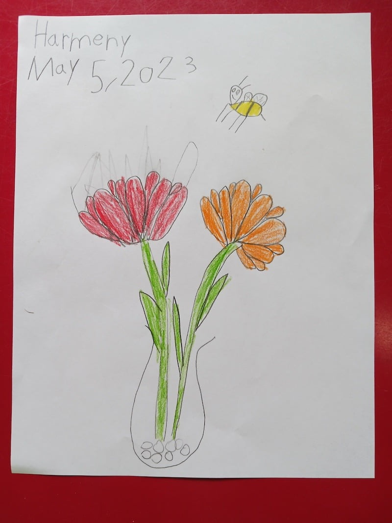 Our Creative Kids: Harmeny Stevens