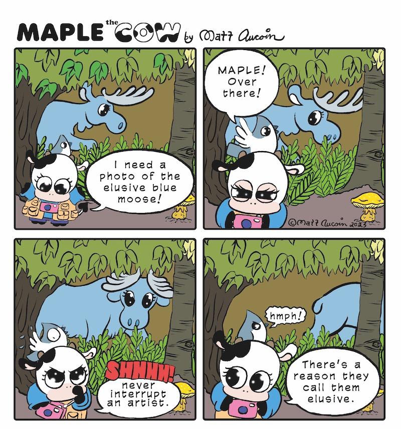Maple the Cow: Sept. 6