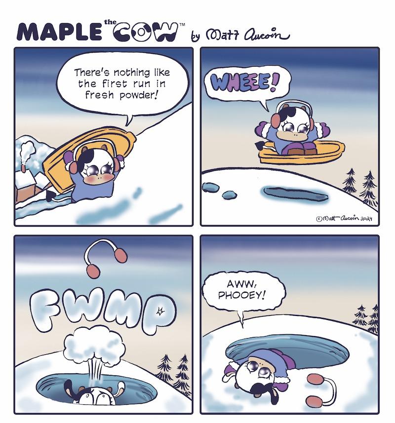 Maple the Cow: Feb. 7