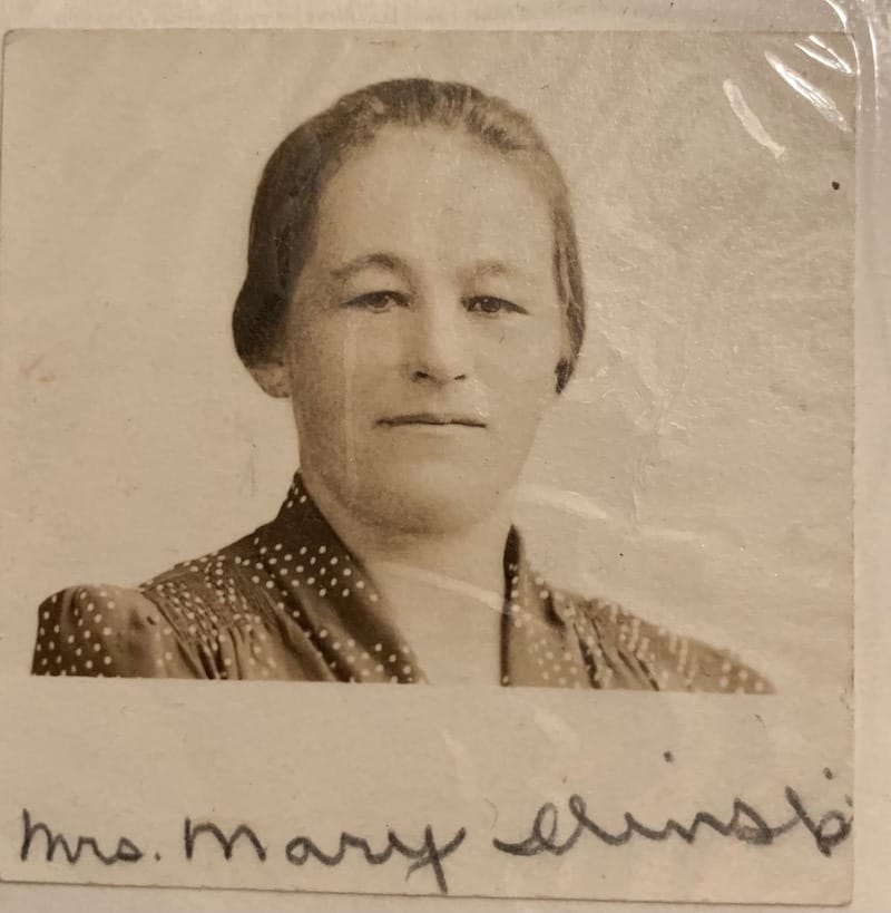 A conversation with genealogist Michael Dwyer on his upcoming new series